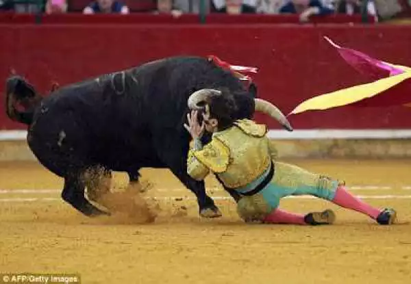 See shocking moment one-eyed matador was gored and stamped on by huge bull [photos]